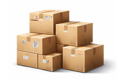 Expresní doručení Krabice v Zwijnaarde Belgie